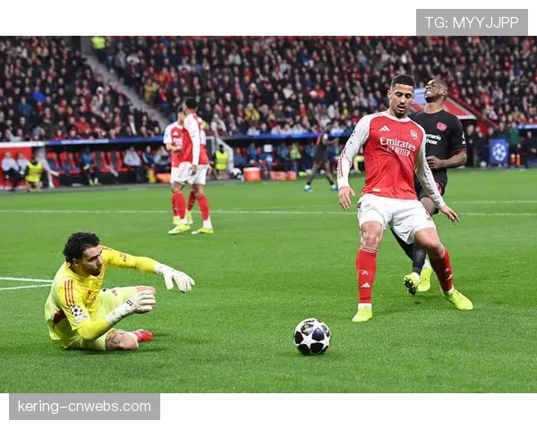 赛场花絮：勒沃库森球迷在看台展示巨型TIFO，致敬球队传奇巴拉克